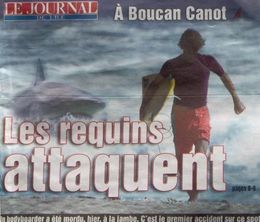 image-https://media.senscritique.com/media/000009514569/0/le_requin_l_ile_et_les_surfeurs.jpg