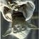 Avatar Jeune_Padawan Avatar Jeune_Padawan