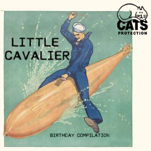 Little Cavalier 2nd Birthday Compilation