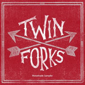 An Introduction to Twin Forks