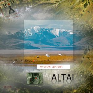 Point: Altai