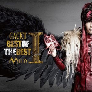 BEST OF THE BEST vol.1 -MILD-