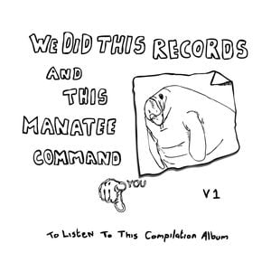 We Did This Records, Volume 1