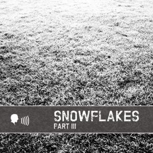 The Making of Snowflakes