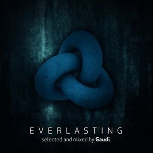 Meandering Through the Emerald Turf (Gaudi remix)