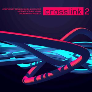 Crosslink 2