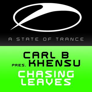 Chasing Leaves (original mix)