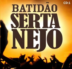 Coletânea batidão sertanejo