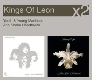 ×2: Youth & Young Manhood / Aha Shake Heartbreak