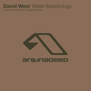 Welsh Morphology (Single)
