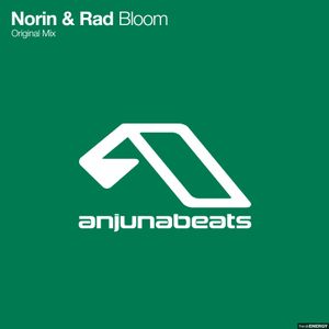 Bloom (Single)