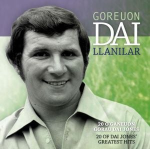 Goreuon Dai Llanilar