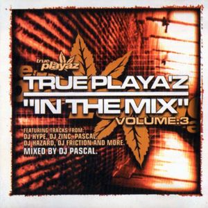 True Playaz in the Mix, Volume 3
