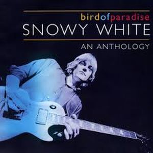 Bird of Paradise: An Anthology