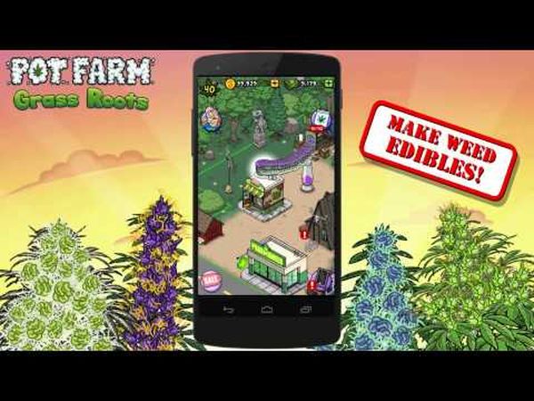 Pot Farm: Grass Roots