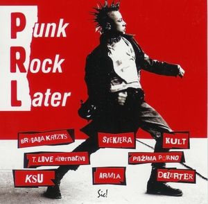 Punk Rock Later
