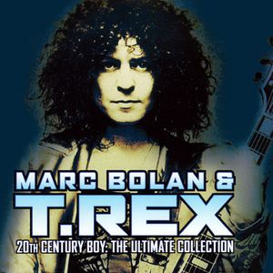 20th Century Boy: The Ultimate Collection