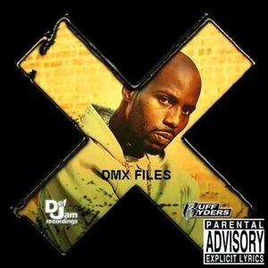 The DMX Files
