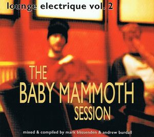 Lounge Electrique Vol. 2 (The Baby Mammoth Session)