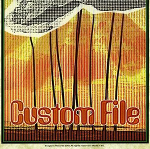 Custom File