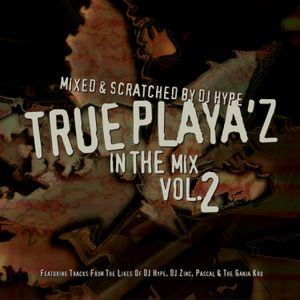 True Playaz in the Mix, Volume 2