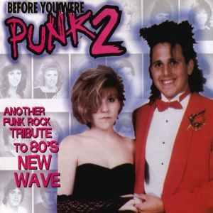 Before You Were Punk 2