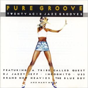 Pure Groove: Twenty Acid Jazz Grooves