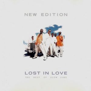 Lost In Love: The Best Of Slow Jams