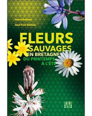 Fleurs sauvages en Bretagne