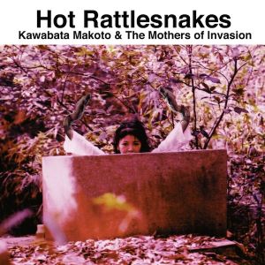 Hot Rattlesnakes