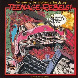 Teenage Rebels! - She Came in Through the Bathroom Window