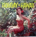 Pochette Holiday in Hawaii