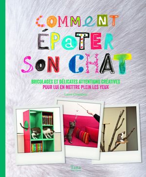 Comment épater son chat