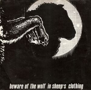 Beware of the Wolf in Sheep's Clothing