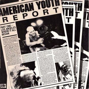 American Youth Report