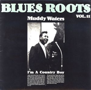 Blues Roots, Volume 11: I'm a Country Boy