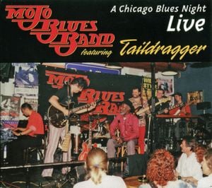 A Chicago Blues Night (Live)