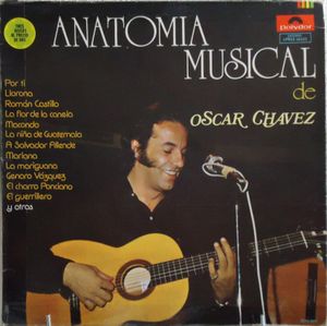 Anatomía musical