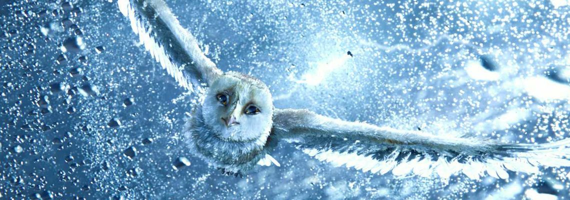 Cover Le Royaume de Ga'Hoole - La légende des gardiens