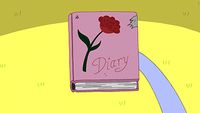 The Diary