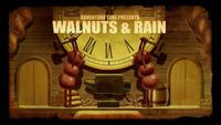 Walnuts and Rain