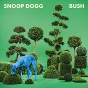 Pochette BUSH