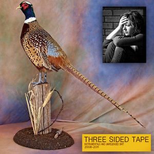 THREE SIDED TAPE VOLUME TWO