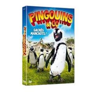 Pingouins & Co : Sacrés manchots !