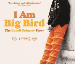 image-https://media.senscritique.com/media/000009690328/0/i_am_big_bird_the_caroll_spinney_story.jpg