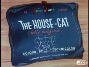 The House-Cat