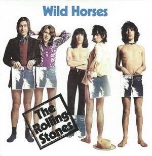 Wild Horses (acoustic version)