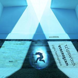 Stereogram (Right Hemisphere) (EP)