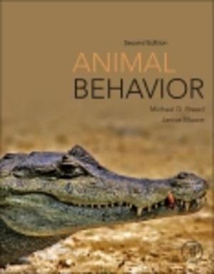 Animal Behavior