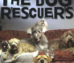image-https://media.senscritique.com/media/000009855694/0/the_dog_rescuers.jpg